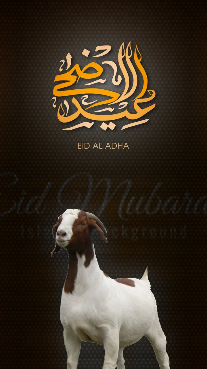 Bakra eid ul adha photo frame  | Indus Appstore | Screenshot