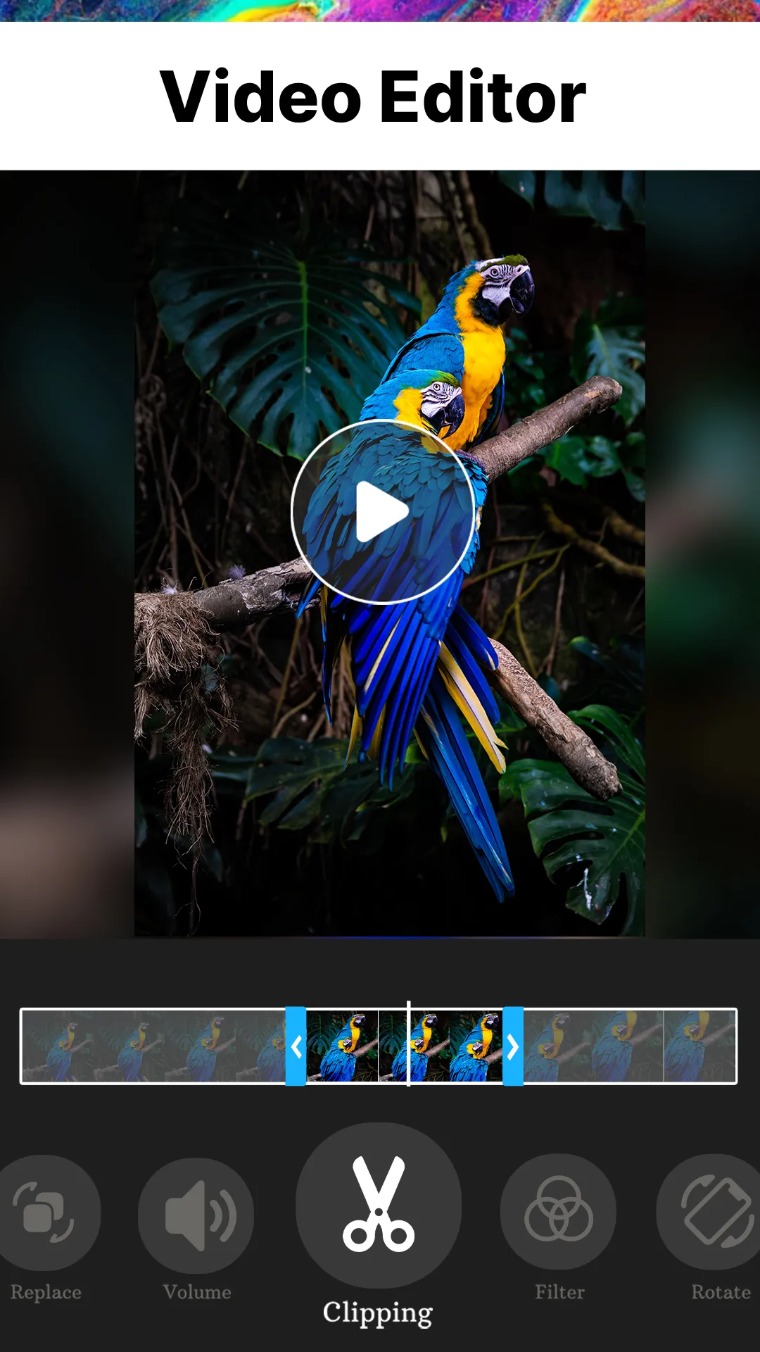 iGrid: Video Pic Collage Maker | Indus Appstore | Screenshot