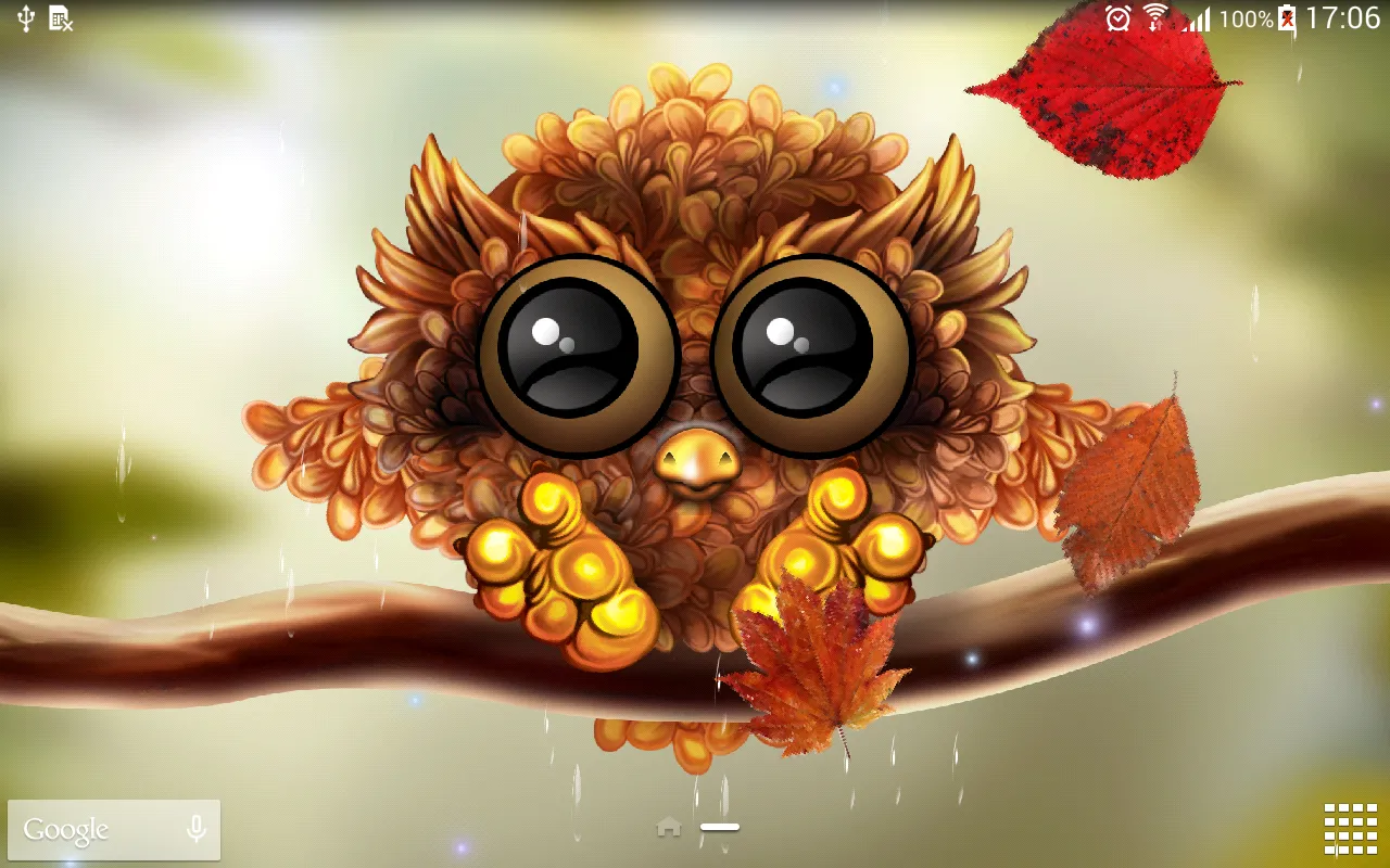 Autumn Little Owl Wallpaper | Indus Appstore | Screenshot