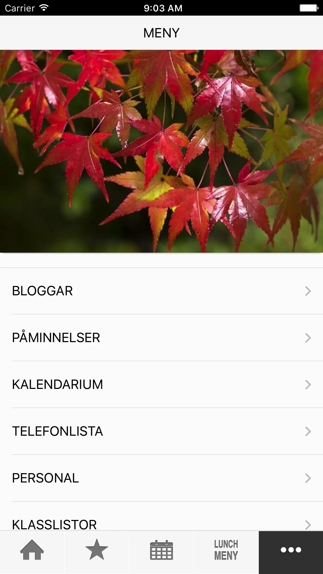 Österåkersbygdens friskola | Indus Appstore | Screenshot