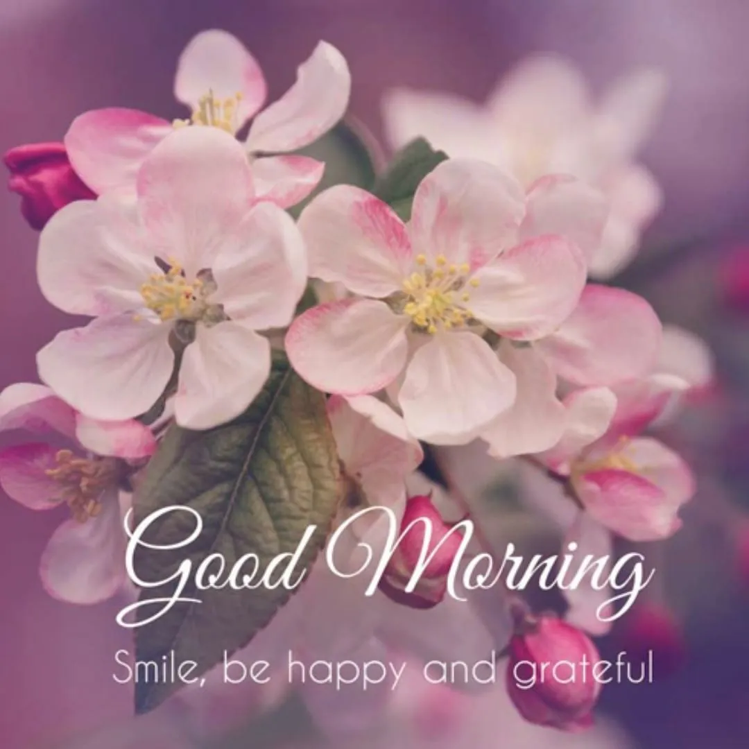 Good Morning Flower Wishes | Indus Appstore | Screenshot