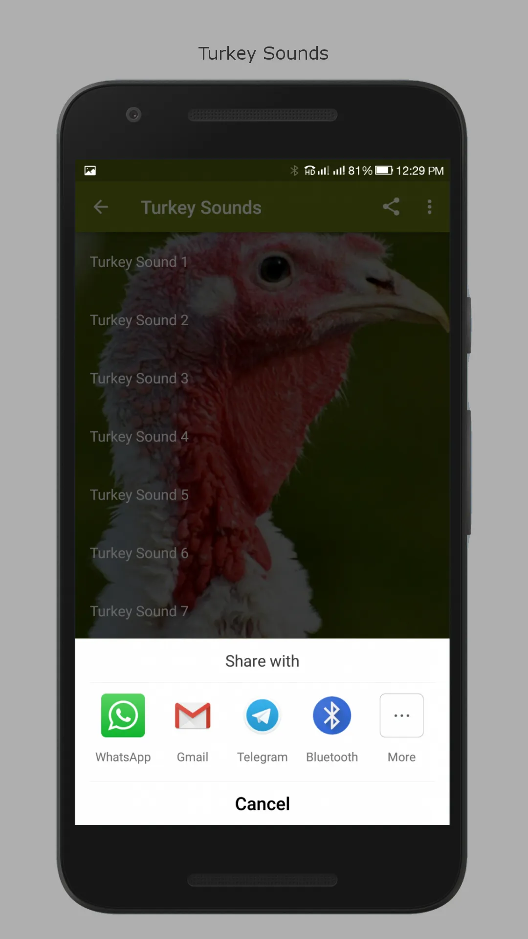Turkey Sounds | Indus Appstore | Screenshot