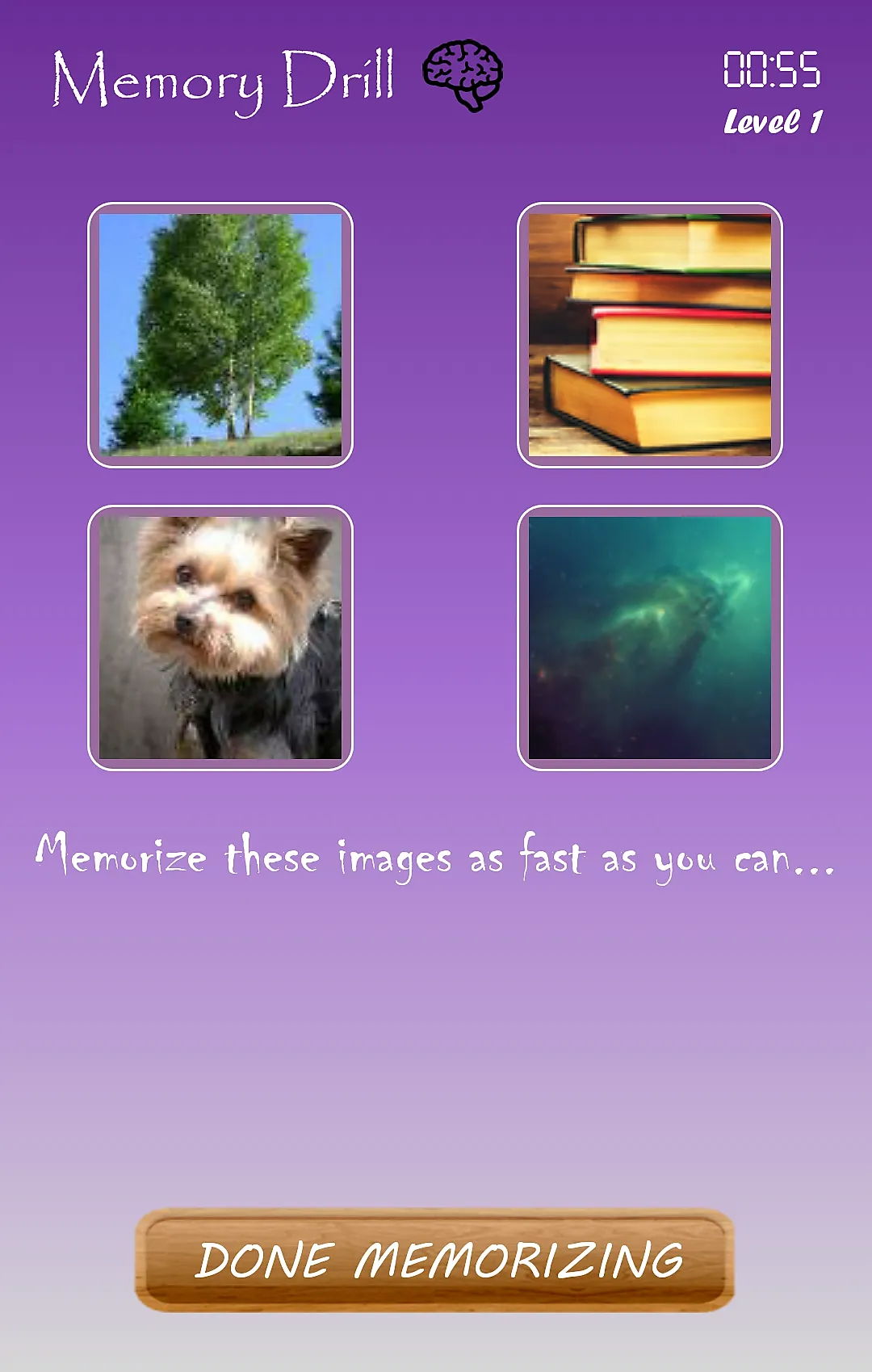 MemoryDrill | Indus Appstore | Screenshot