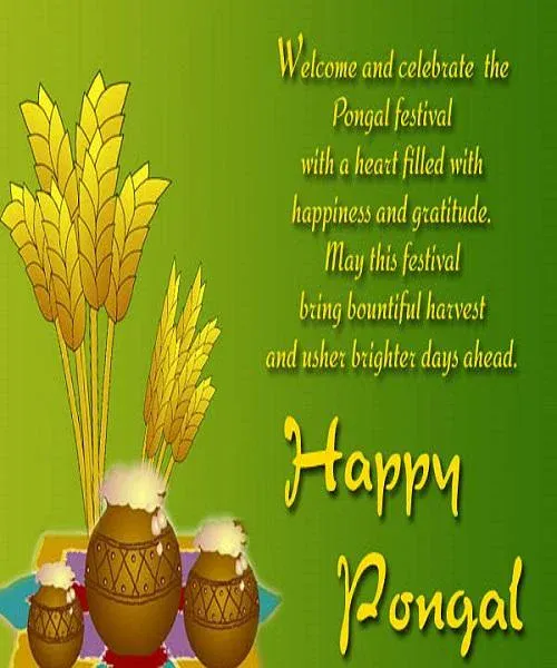 Sankranti & Pongal Greetings | Indus Appstore | Screenshot