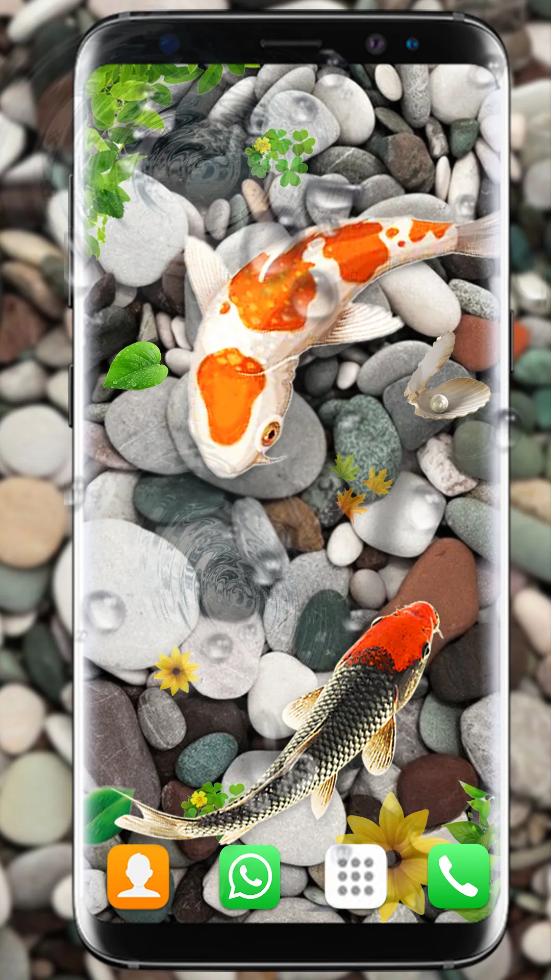 Koi Fish Live Wallpapers HD | Indus Appstore | Screenshot