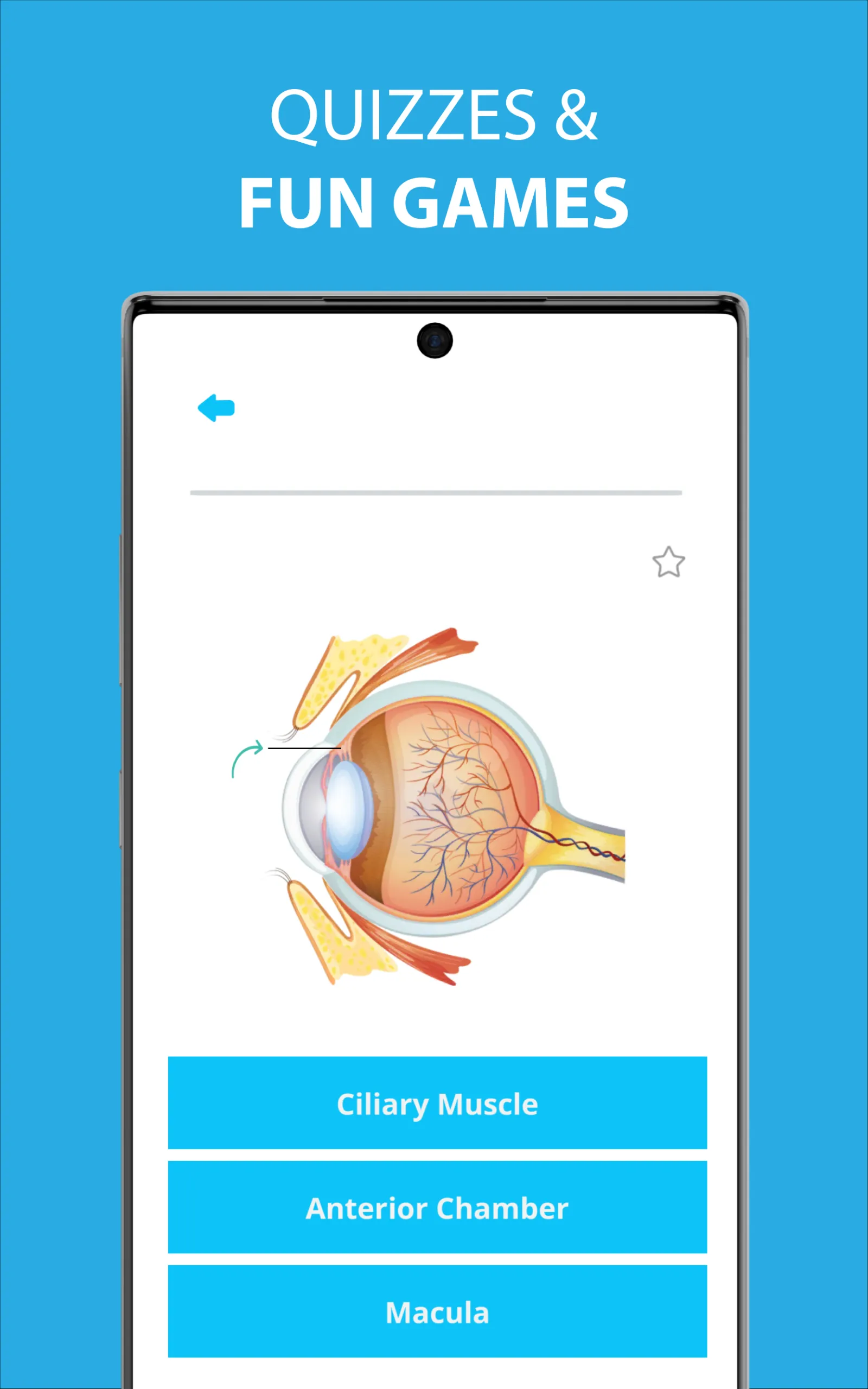 Medical Terminology Learning Q | Indus Appstore | Screenshot