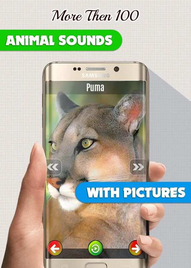 Animal Sounds: With Images | Indus Appstore | Screenshot