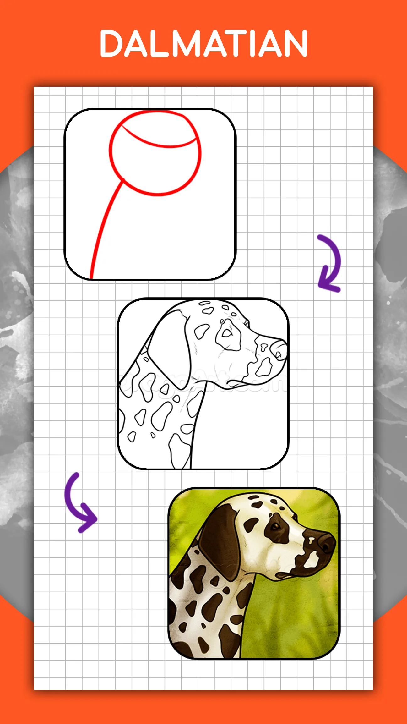 How to draw animals by steps | Indus Appstore | Screenshot