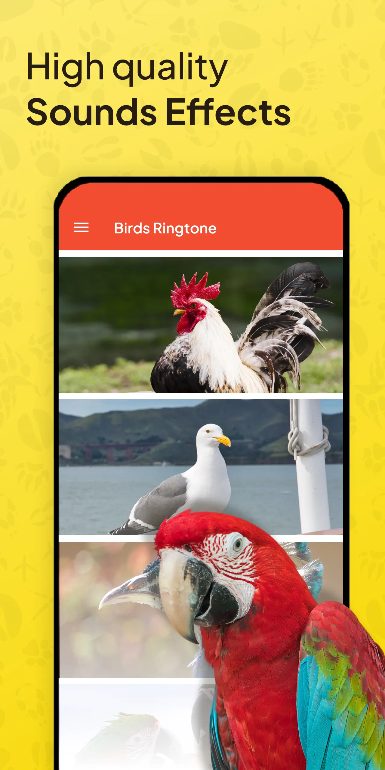 Animal Ringtone - Birds Sound | Indus Appstore | Screenshot