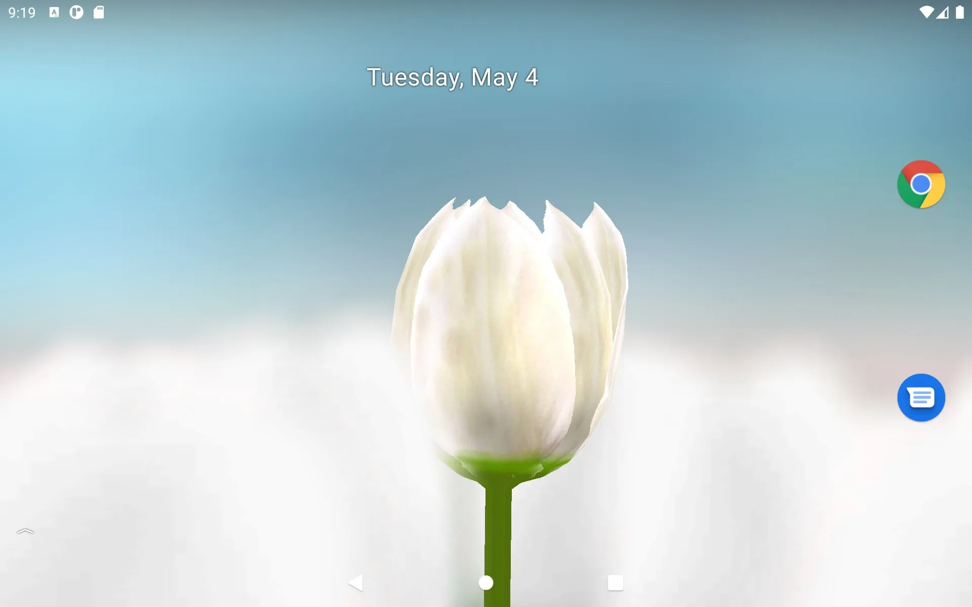 3D Tulip Live Wallpaper | Indus Appstore | Screenshot