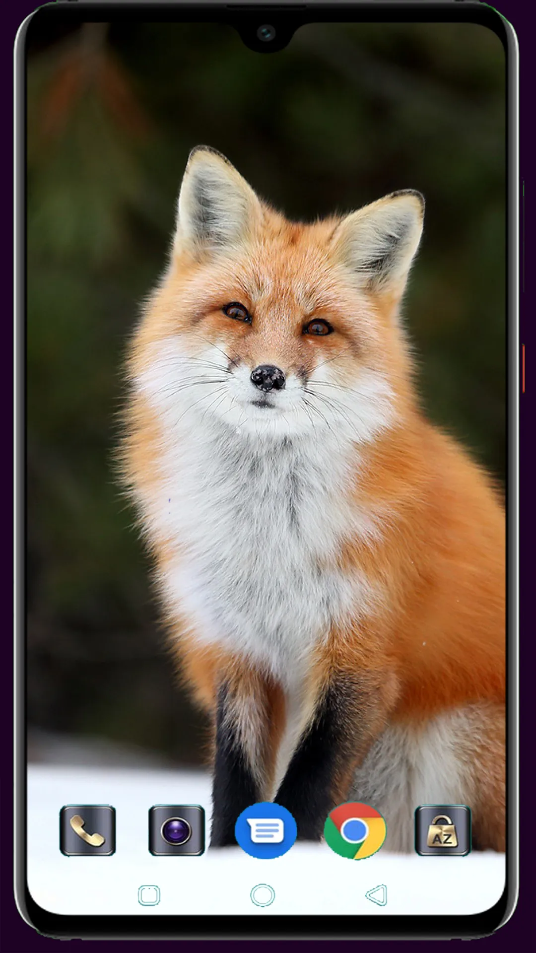 Fox Wallpaper | Indus Appstore | Screenshot