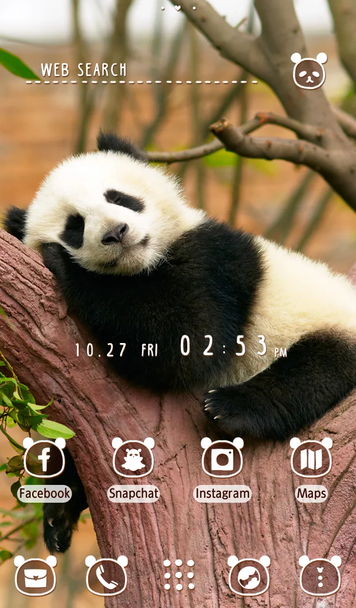 Napping Panda Theme | Indus Appstore | Screenshot