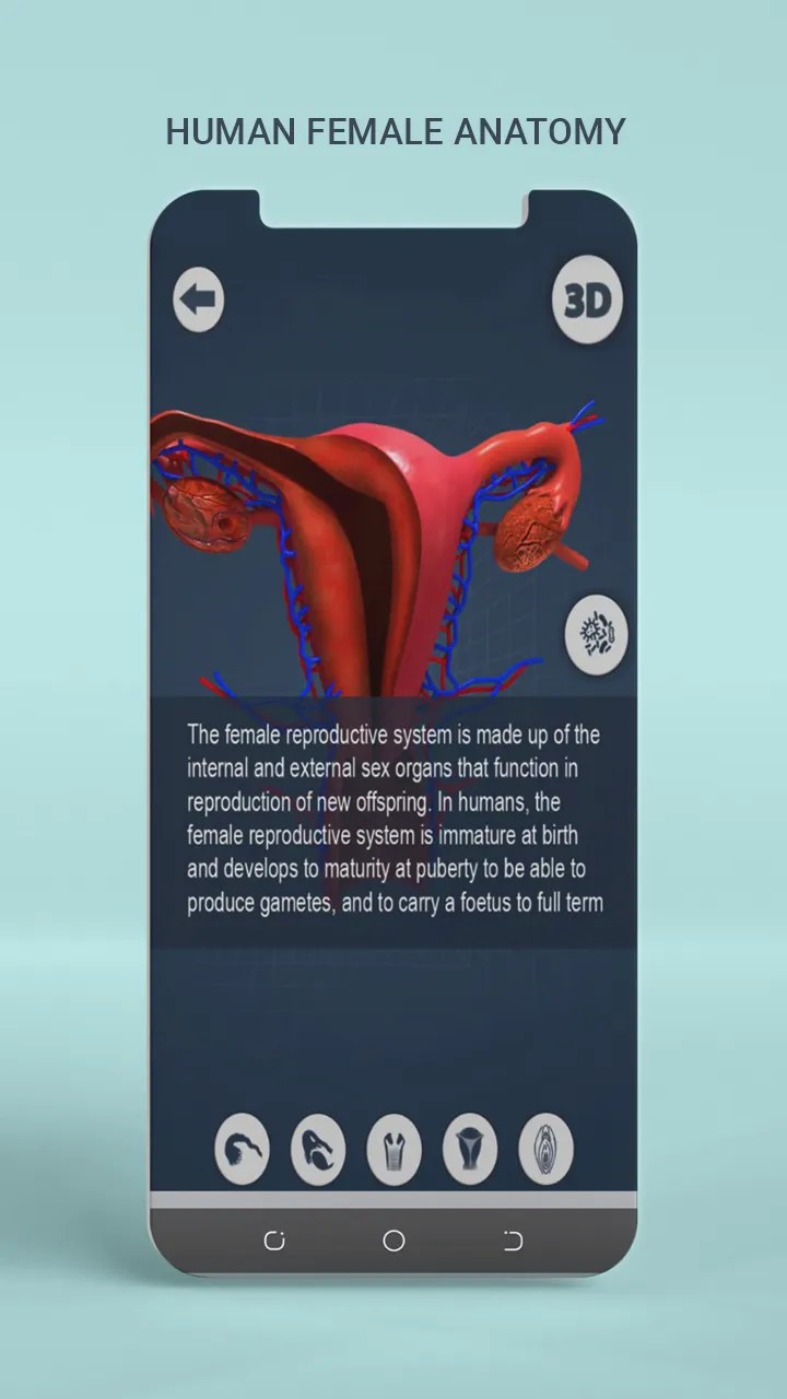 Female Anatomy 3D Anatomy App | Indus Appstore | Screenshot