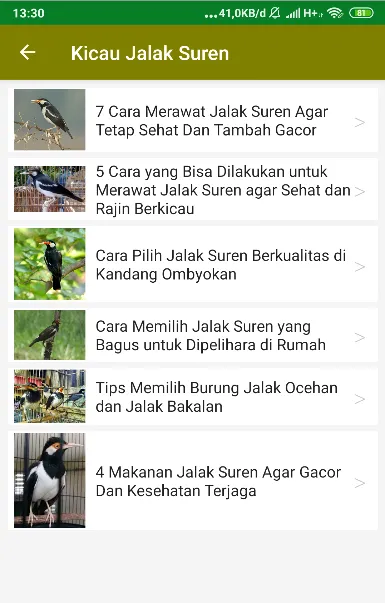 Suara Kicau Jalak Suren Gacor | Indus Appstore | Screenshot