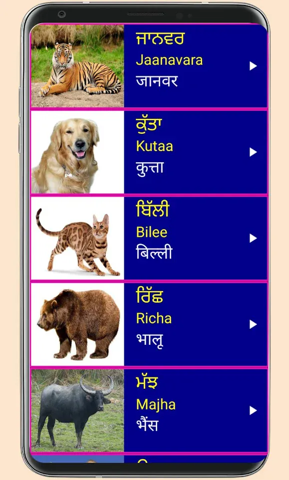 Learn Punjabi From Hindi | Indus Appstore | Screenshot