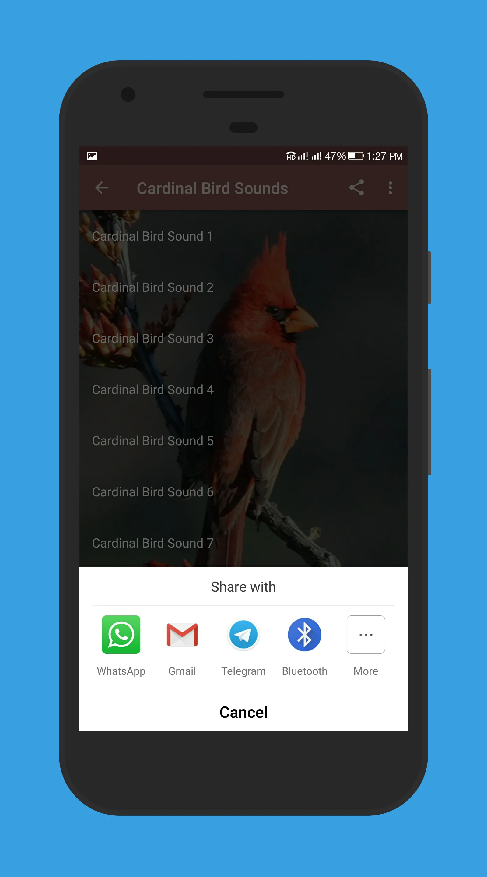 Cardinal Bird Sound | Indus Appstore | Screenshot