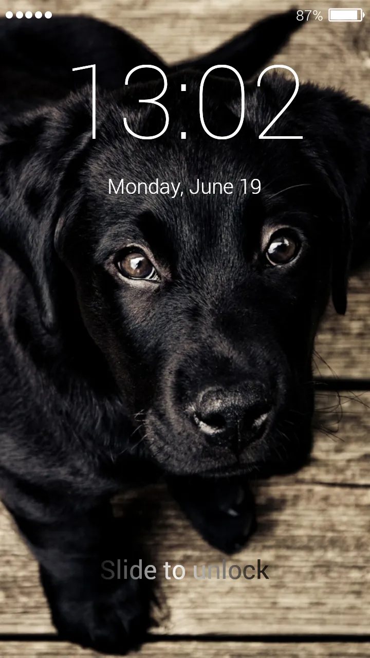 Labrador Retriever Lock Screen | Indus Appstore | Screenshot