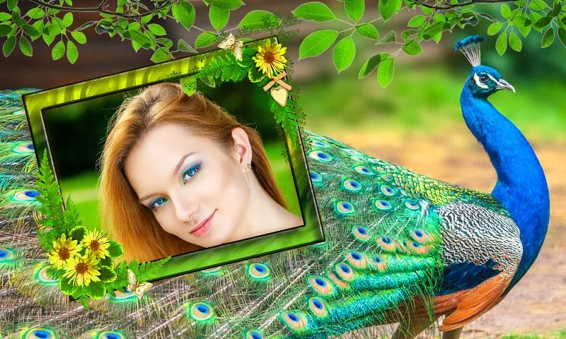 Peacock Photo Frames | Indus Appstore | Screenshot