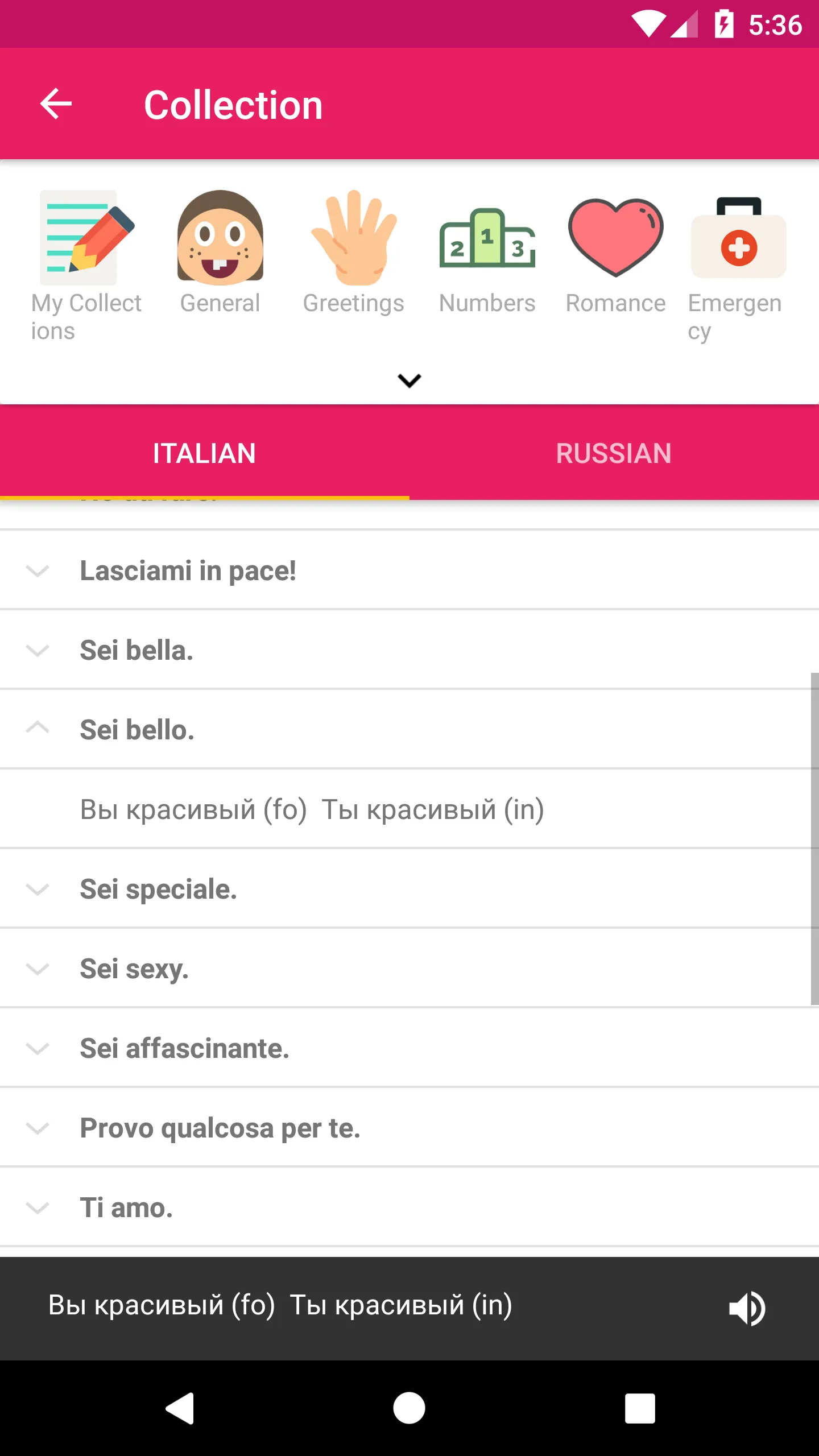 Italian Russian Dictionary | Indus Appstore | Screenshot