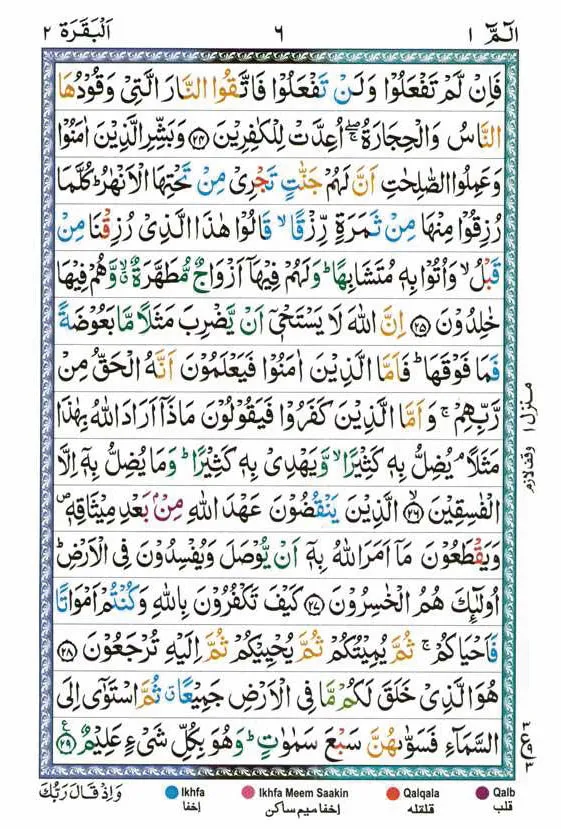 Al Quran Hafizi Tajweedi | Indus Appstore | Screenshot