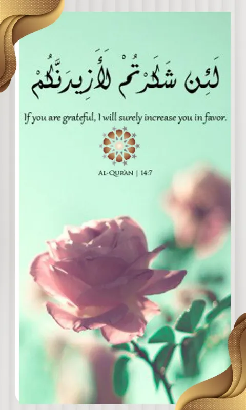 Islamic Truth Quotes | Indus Appstore | Screenshot