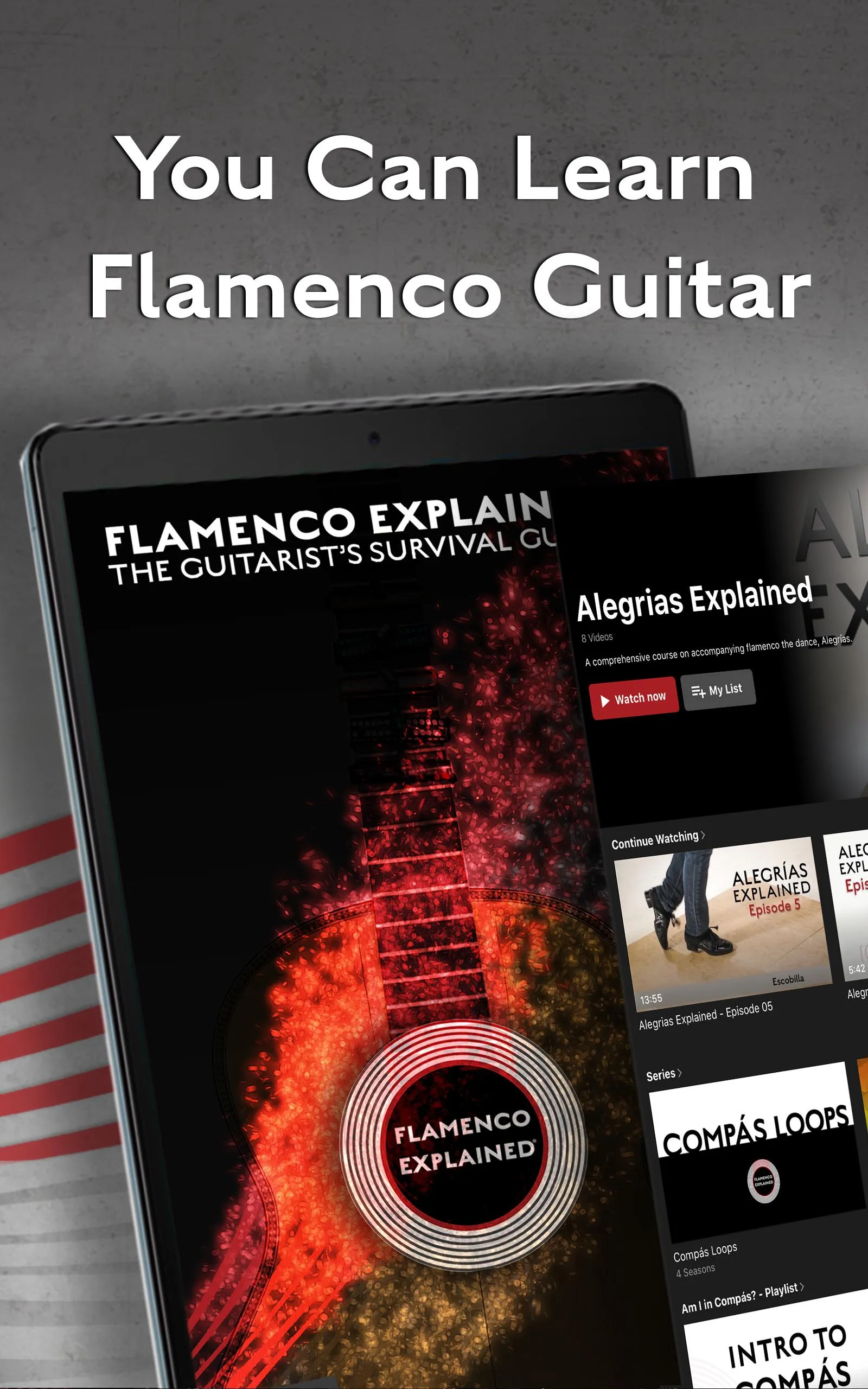 Flamenco Explained | Indus Appstore | Screenshot