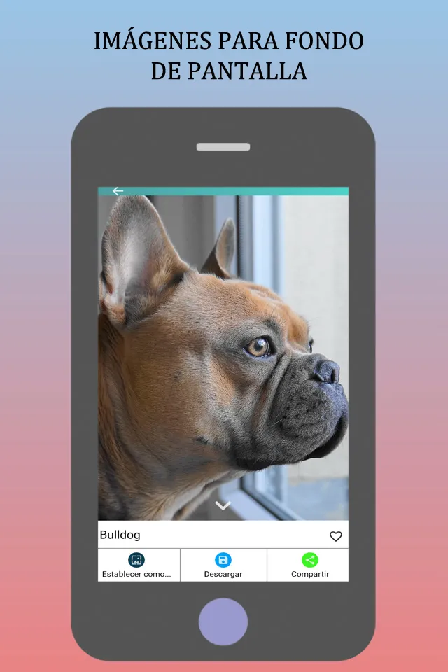 Imágenes de Perros y Gatos | Indus Appstore | Screenshot