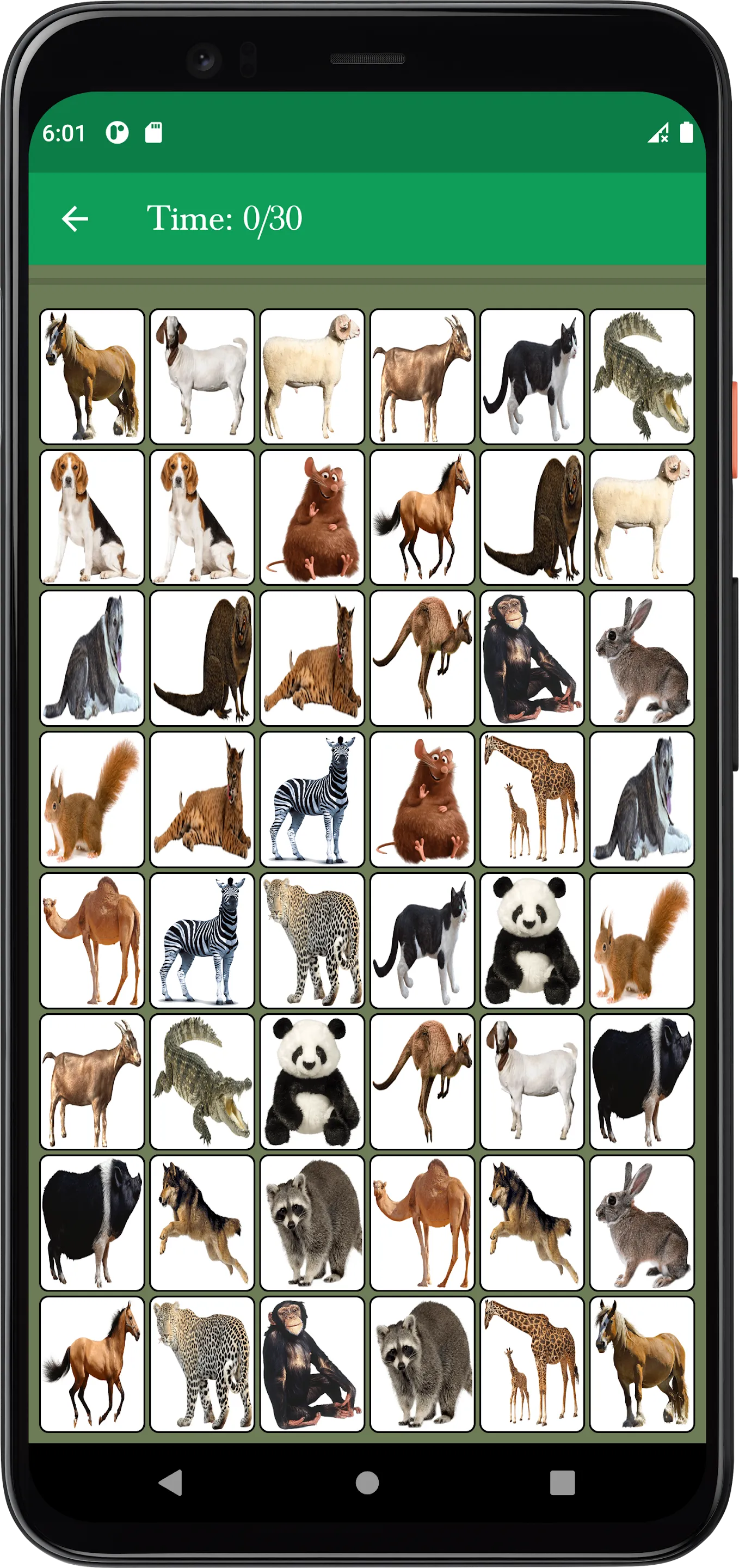 Animal Memory Matching Game | Indus Appstore | Screenshot