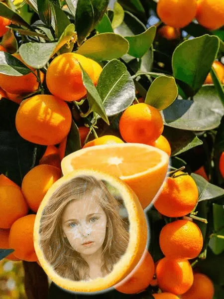 Fruit Photo Frames | Indus Appstore | Screenshot