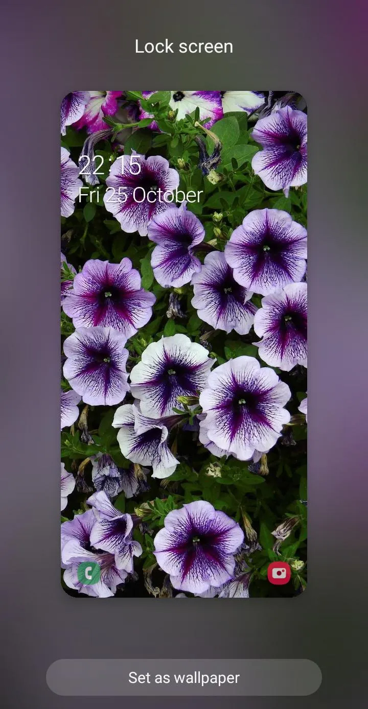 Flowers Wallpaper | Indus Appstore | Screenshot