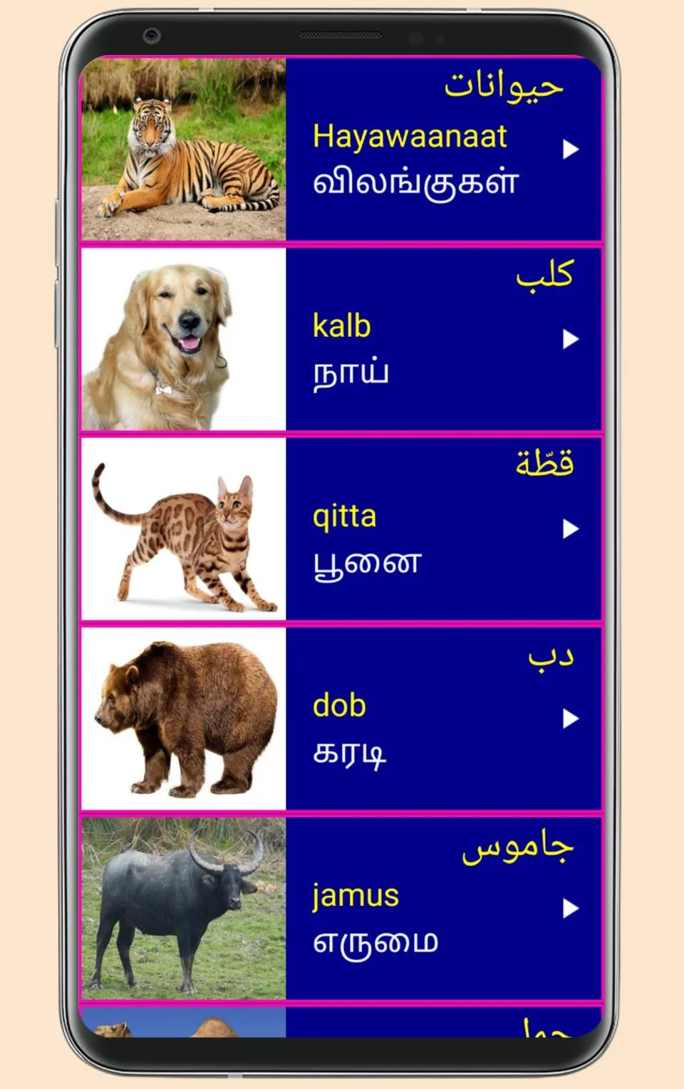 Learn Arabic From Tamil | Indus Appstore | Screenshot