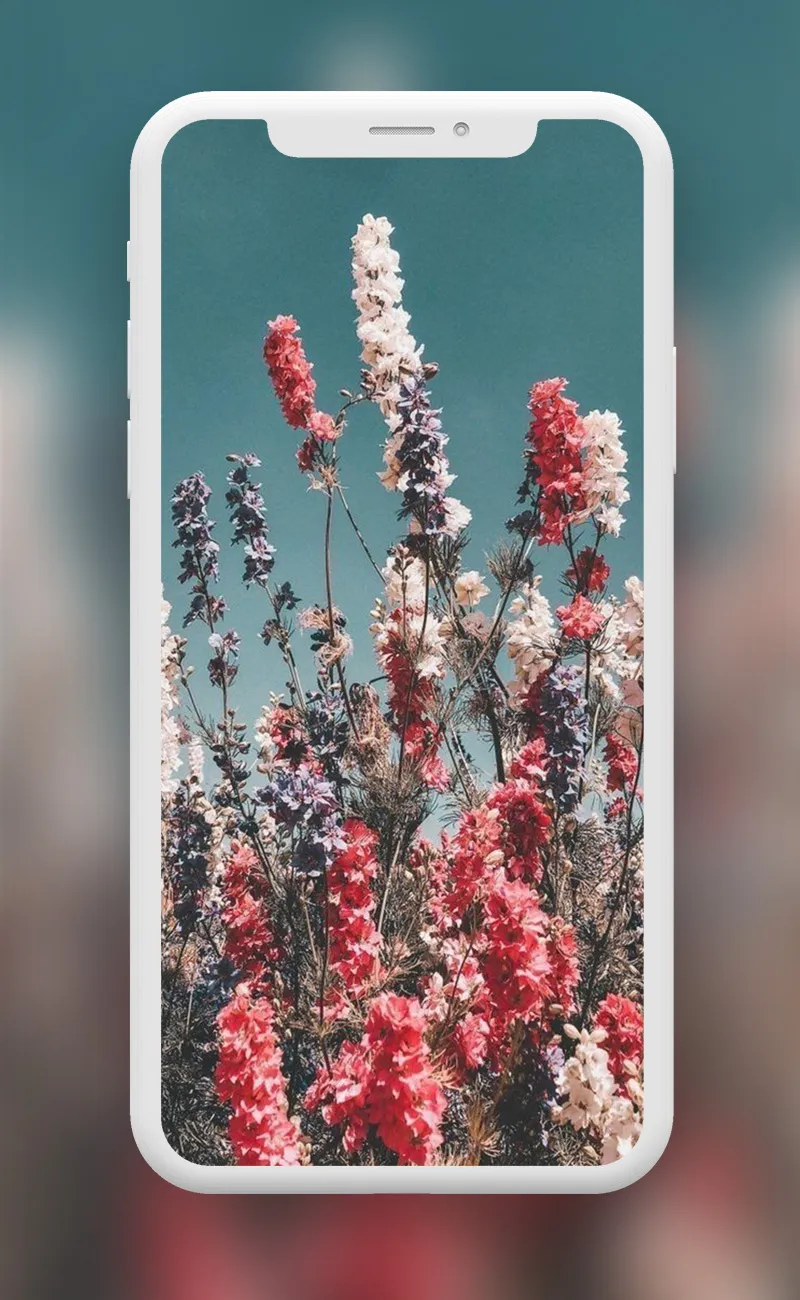 Flowers Wallpapers | Indus Appstore | Screenshot