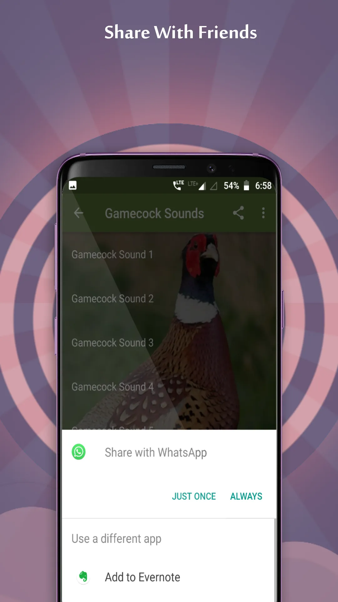 Gamecock Sounds | Indus Appstore | Screenshot