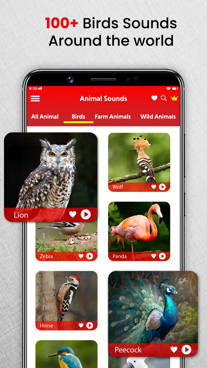 Animal Sounds Birds Ringtones | Indus Appstore | Screenshot