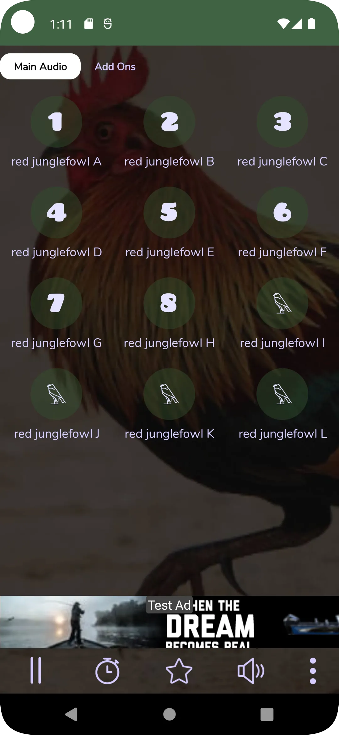 Red Junglefowl Sounds HD | Indus Appstore | Screenshot