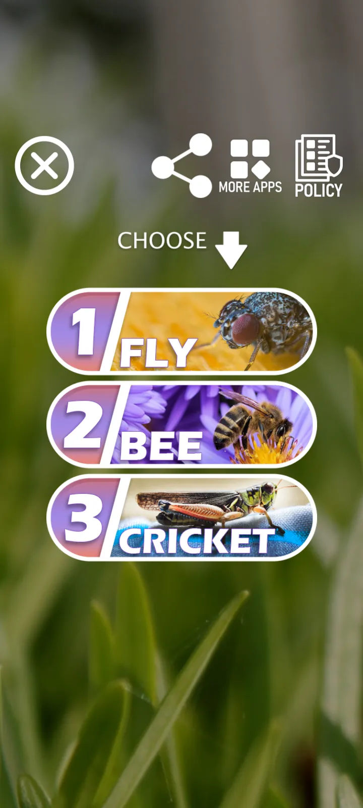 Sounds of insects | Indus Appstore | Screenshot