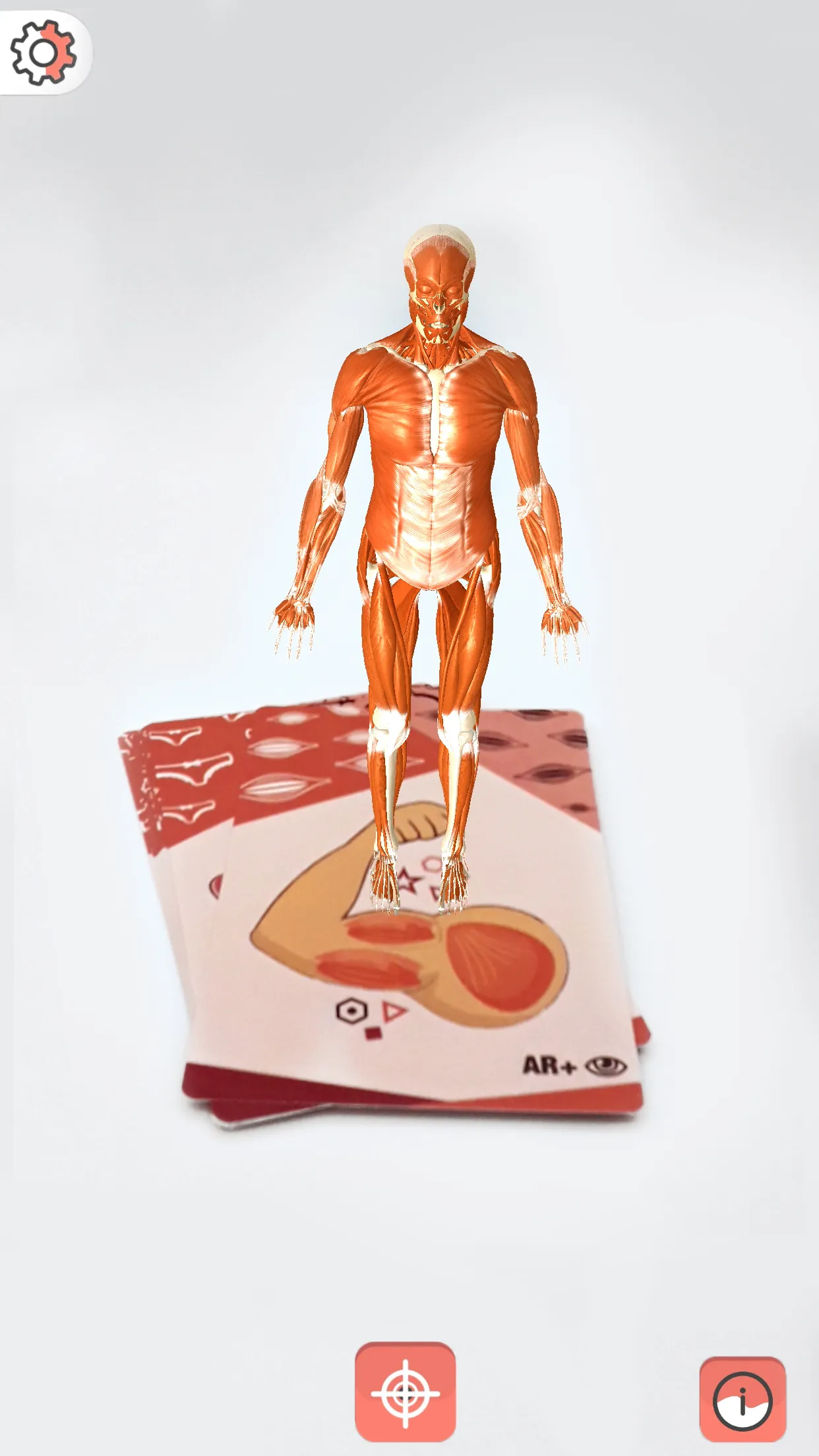 Body cards | Indus Appstore | Screenshot