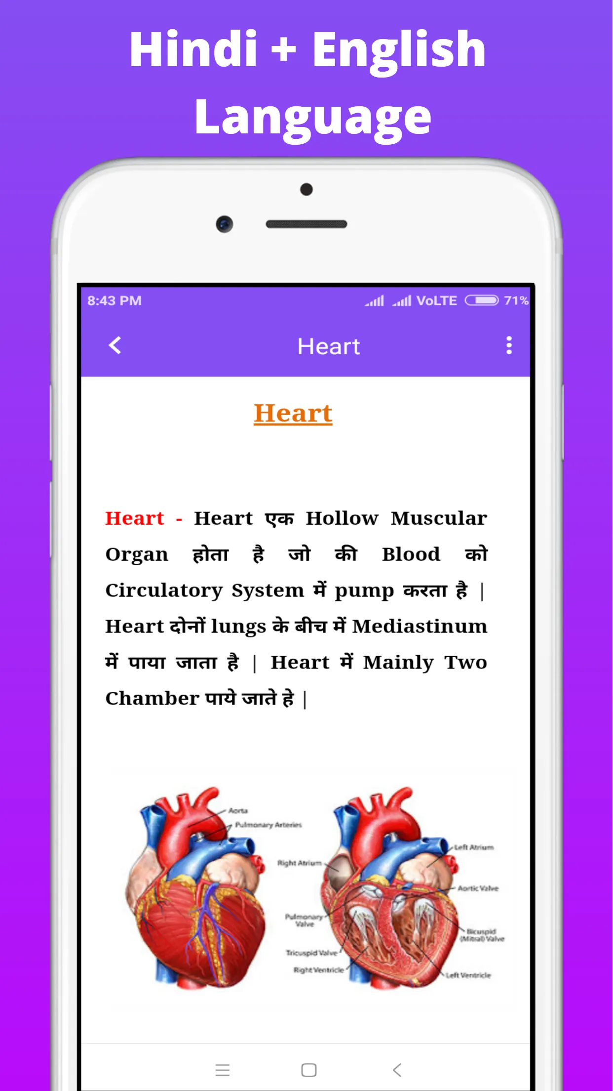 Anatomy & Physiology In Hindi | Indus Appstore | Screenshot