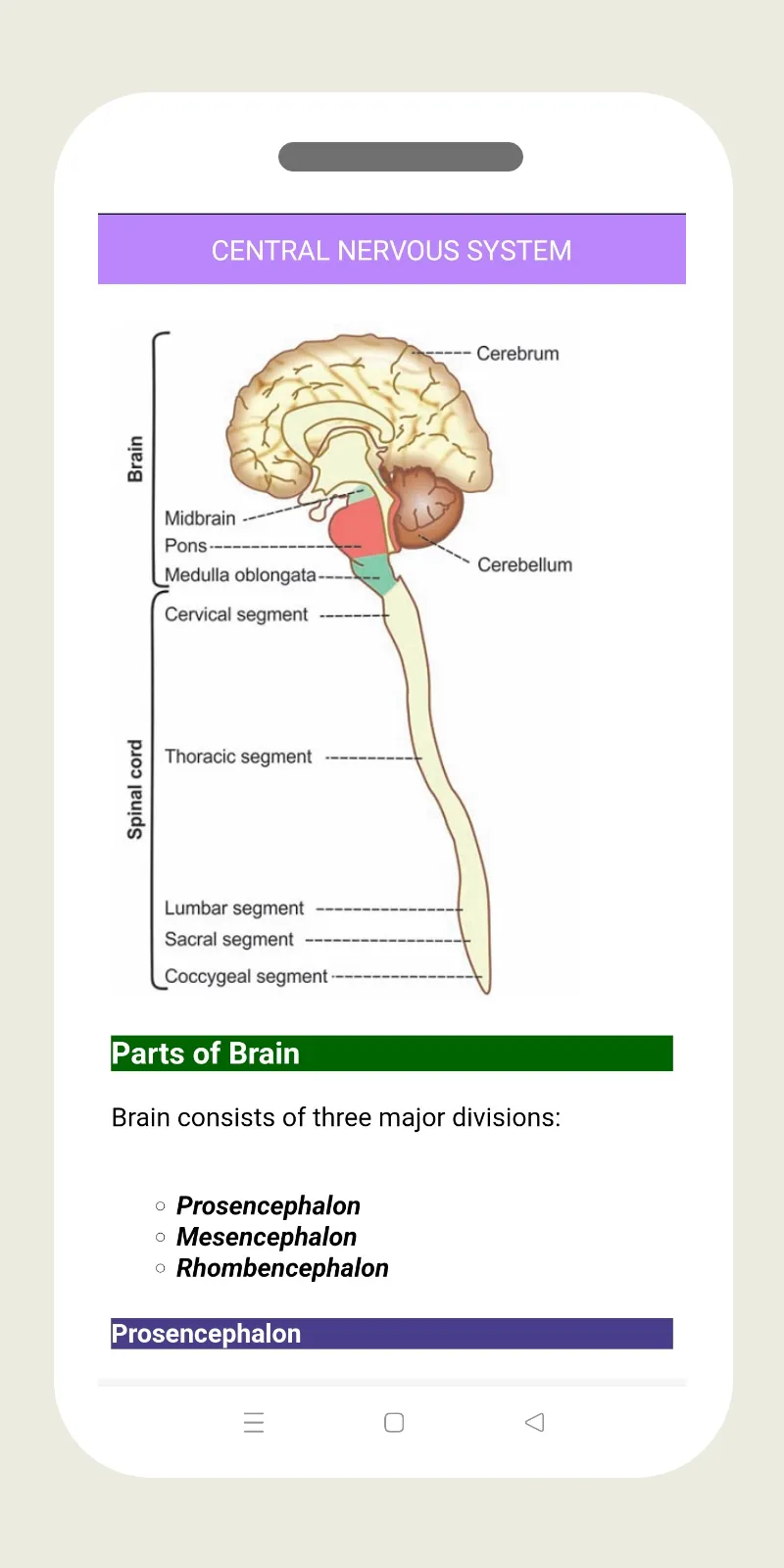 Nervous System Physiology | Indus Appstore | Screenshot