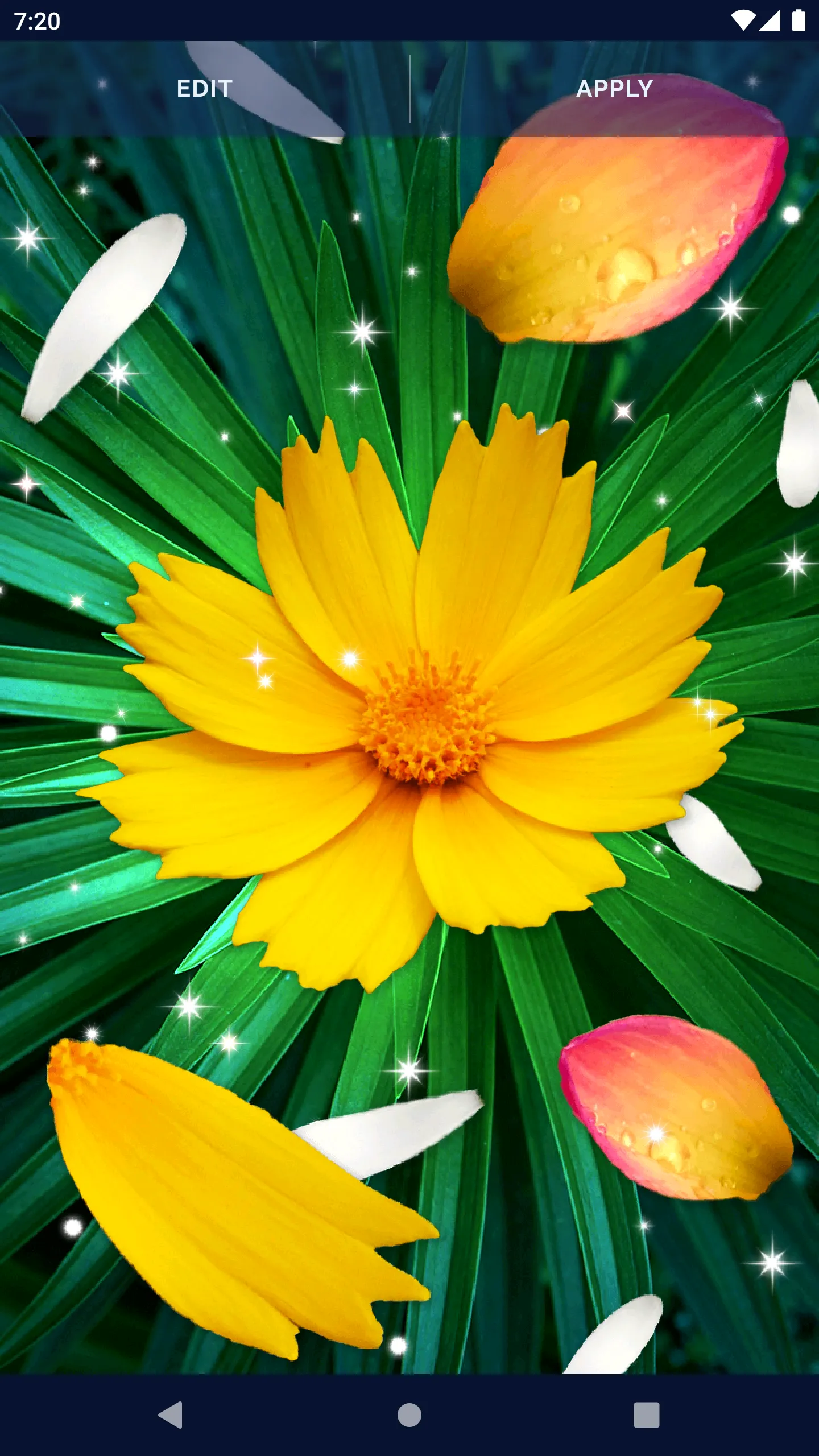 Flower Petals Live Wallpaper | Indus Appstore | Screenshot