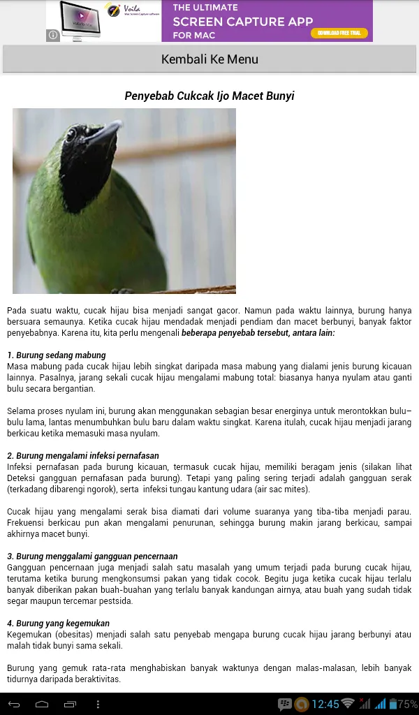 Tips Perawatan Cucak Ijo | Indus Appstore | Screenshot