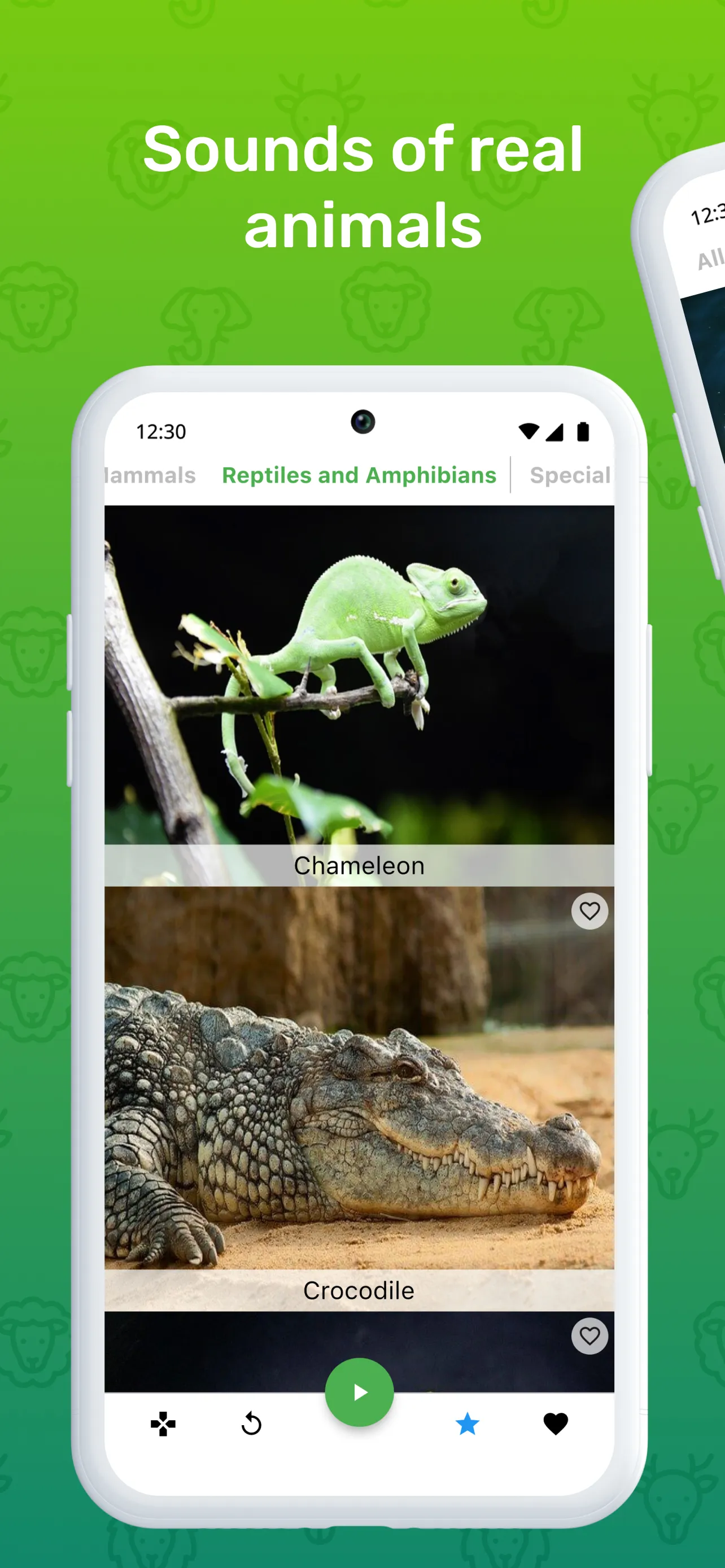 Guess the Animal Sounds | Indus Appstore | Screenshot