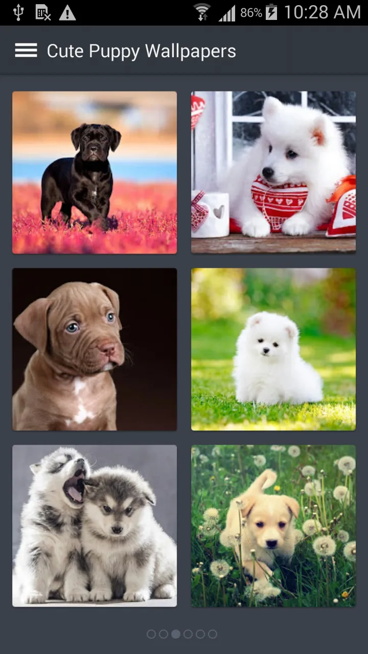 Cute Puppy Wallpapers | Indus Appstore | Screenshot