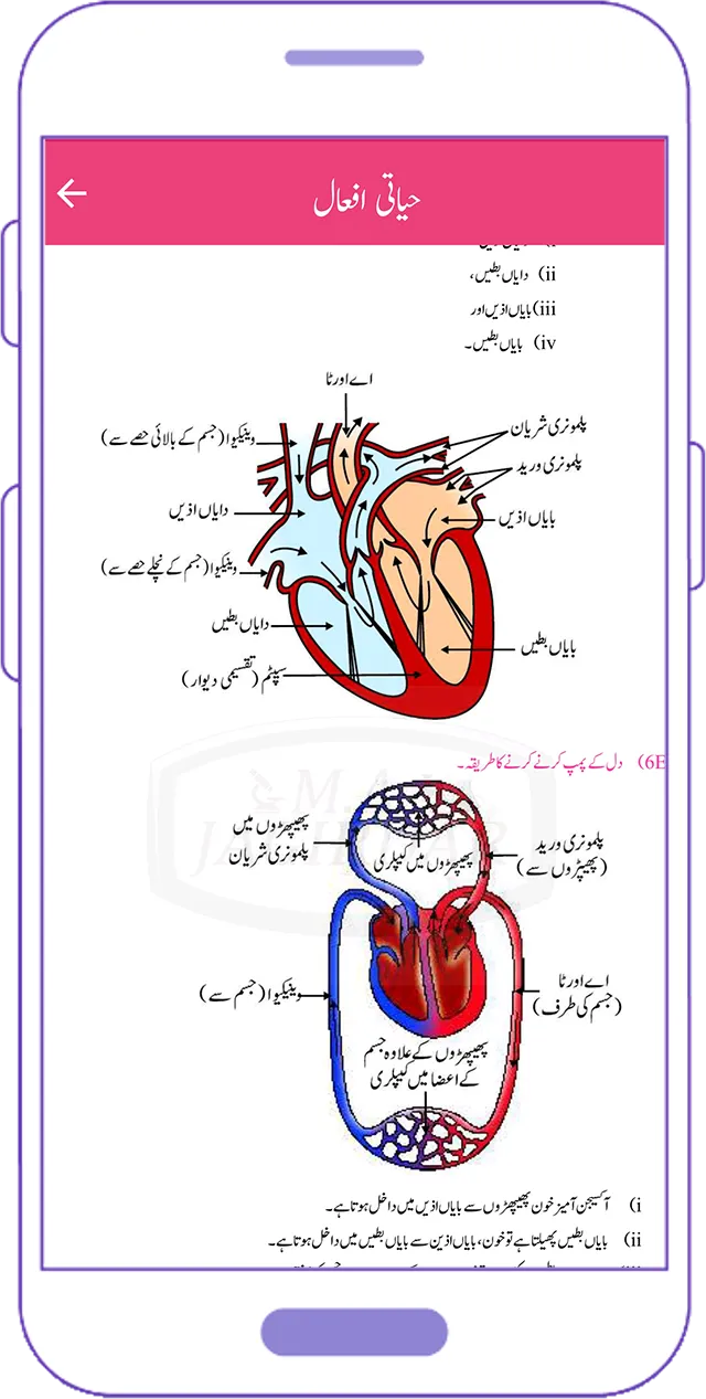 SSLC Science Notes in Urdu | Indus Appstore | Screenshot