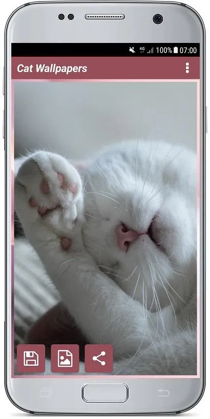 CUTE CAT WALLPAPERS | Indus Appstore | Screenshot