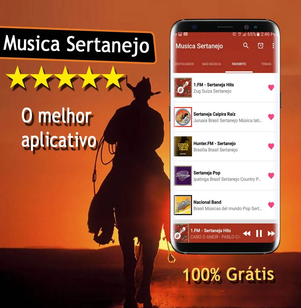 Musica Sertanejo 2024 | Indus Appstore | Screenshot