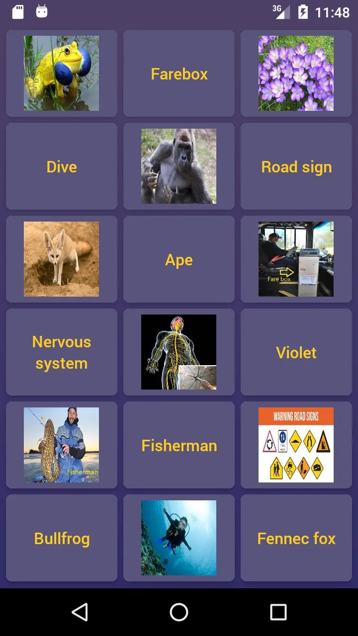 English Vocabulary by Pictures | Indus Appstore | Screenshot