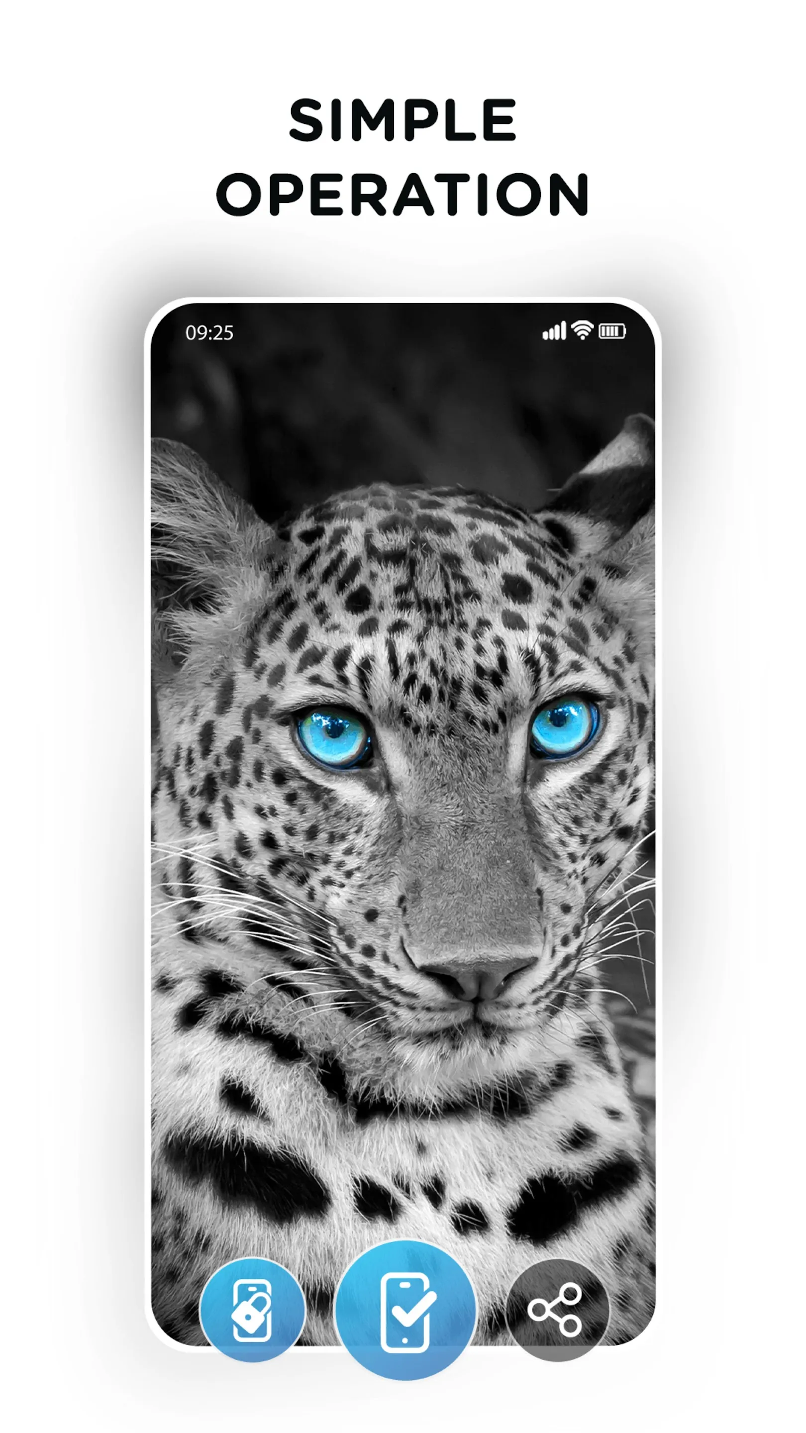 Amazing Wallpapers 4K & HD | Indus Appstore | Screenshot