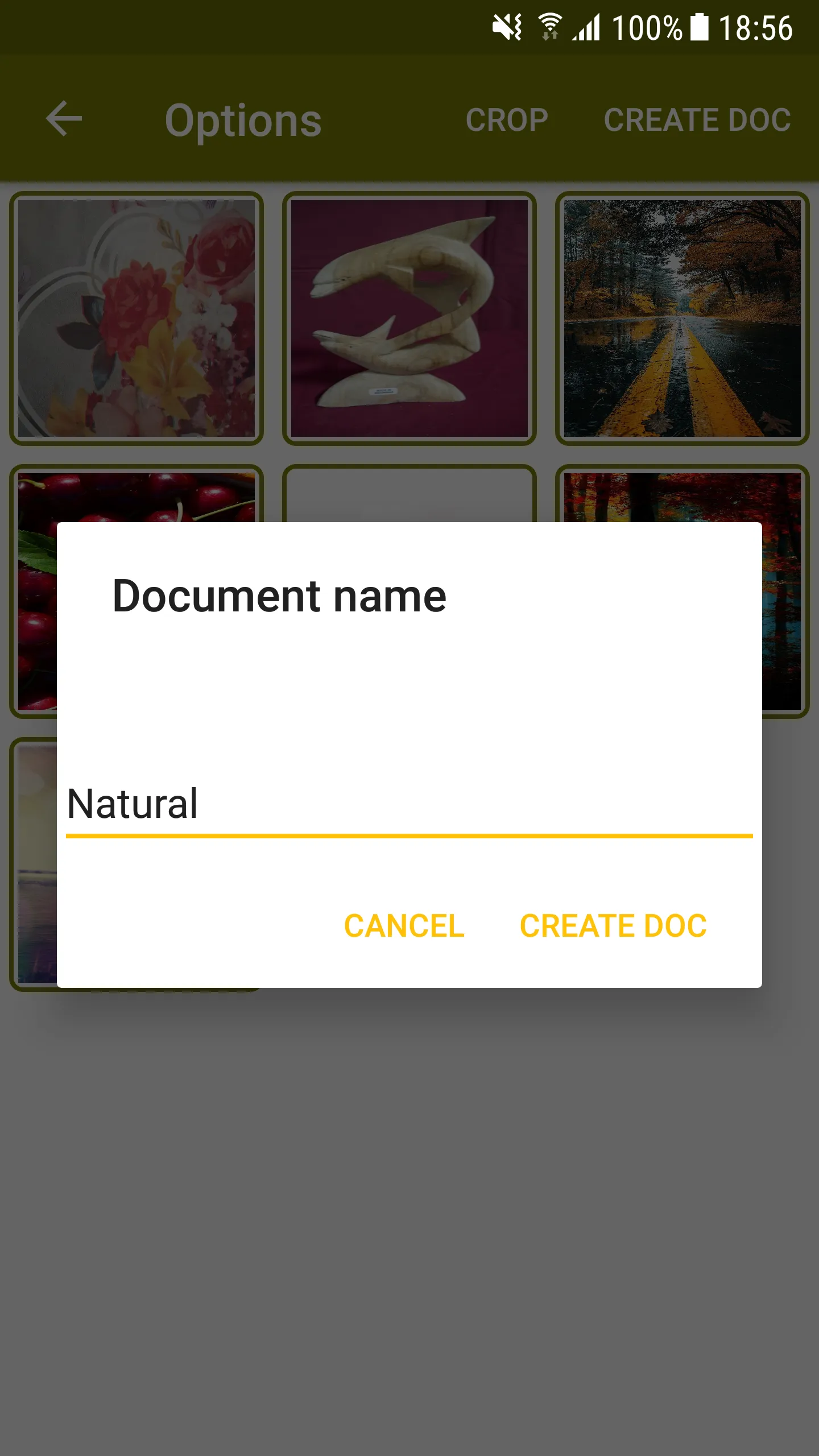 Image to PDF | Indus Appstore | Screenshot