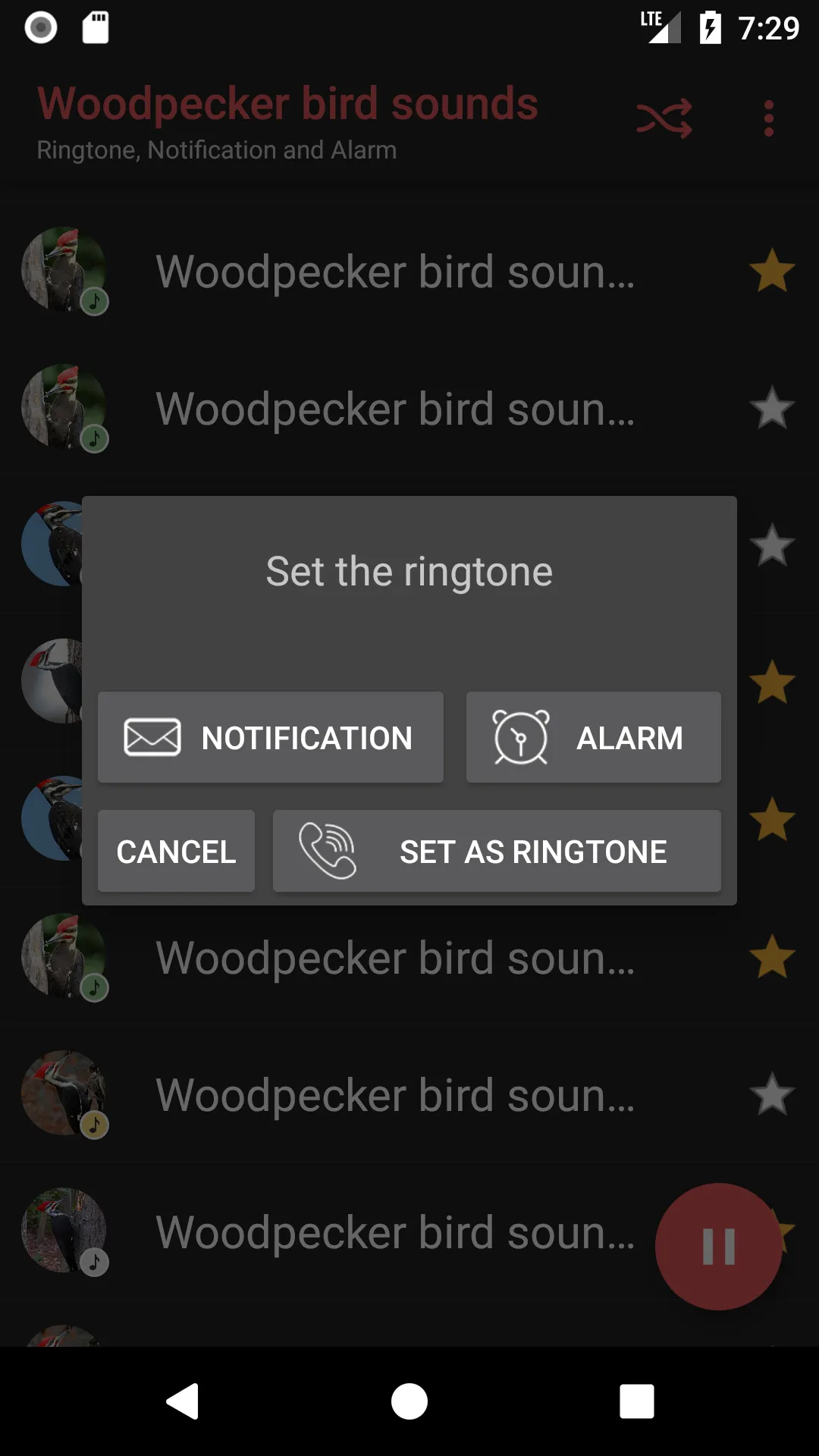 Woodpecker bird sounds | Indus Appstore | Screenshot